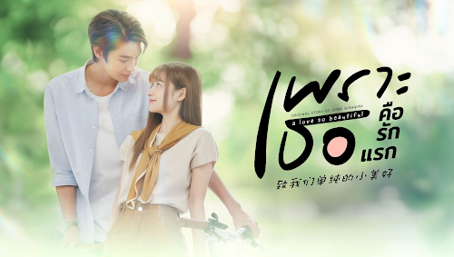 A Love So Beautiful (2024) เพราะเธอคือรักแรก